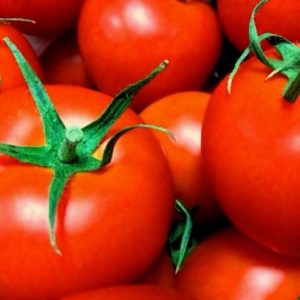 トマトの甘くて美味しい育て方～病気の対策や虫の食害を防ぐ～