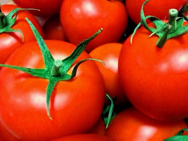 トマトの甘くて美味しい育て方 病気の対策や虫の食害を防ぐ ゆっくりライフ